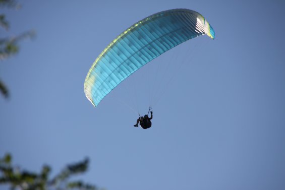 IMG_5589