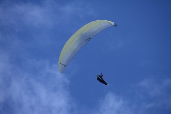 IMG_5260