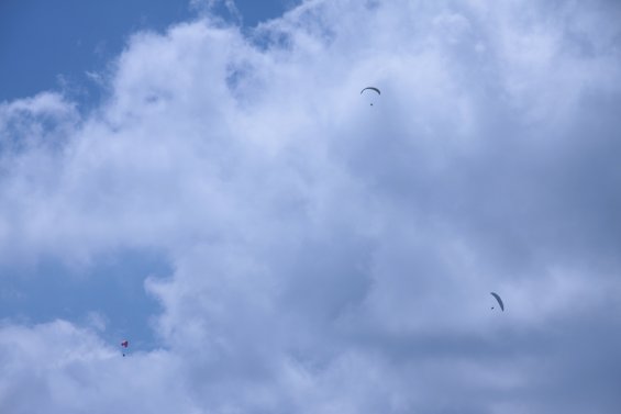 IMG_5267