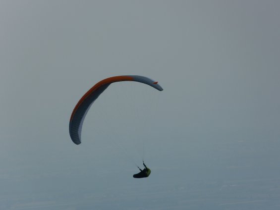 Dronero 2018 78 (160)