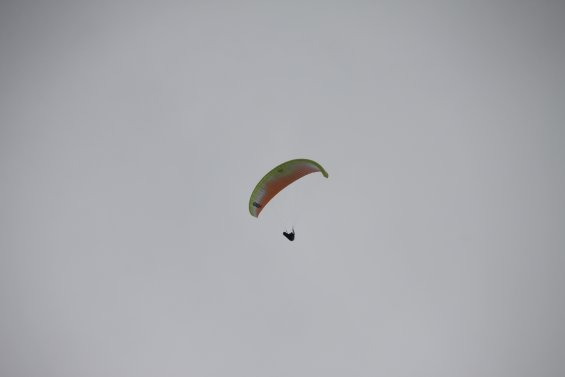 IMG_7081