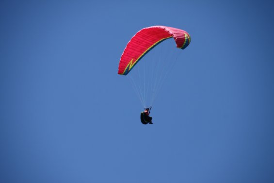 IMG_6706