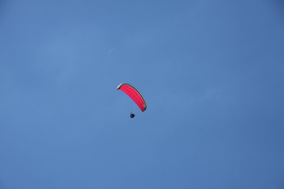 IMG_6708
